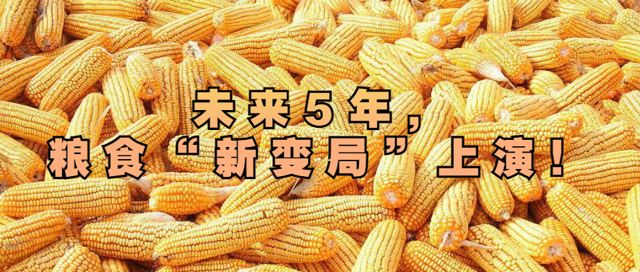 未來5年，糧食“新變局”上演！