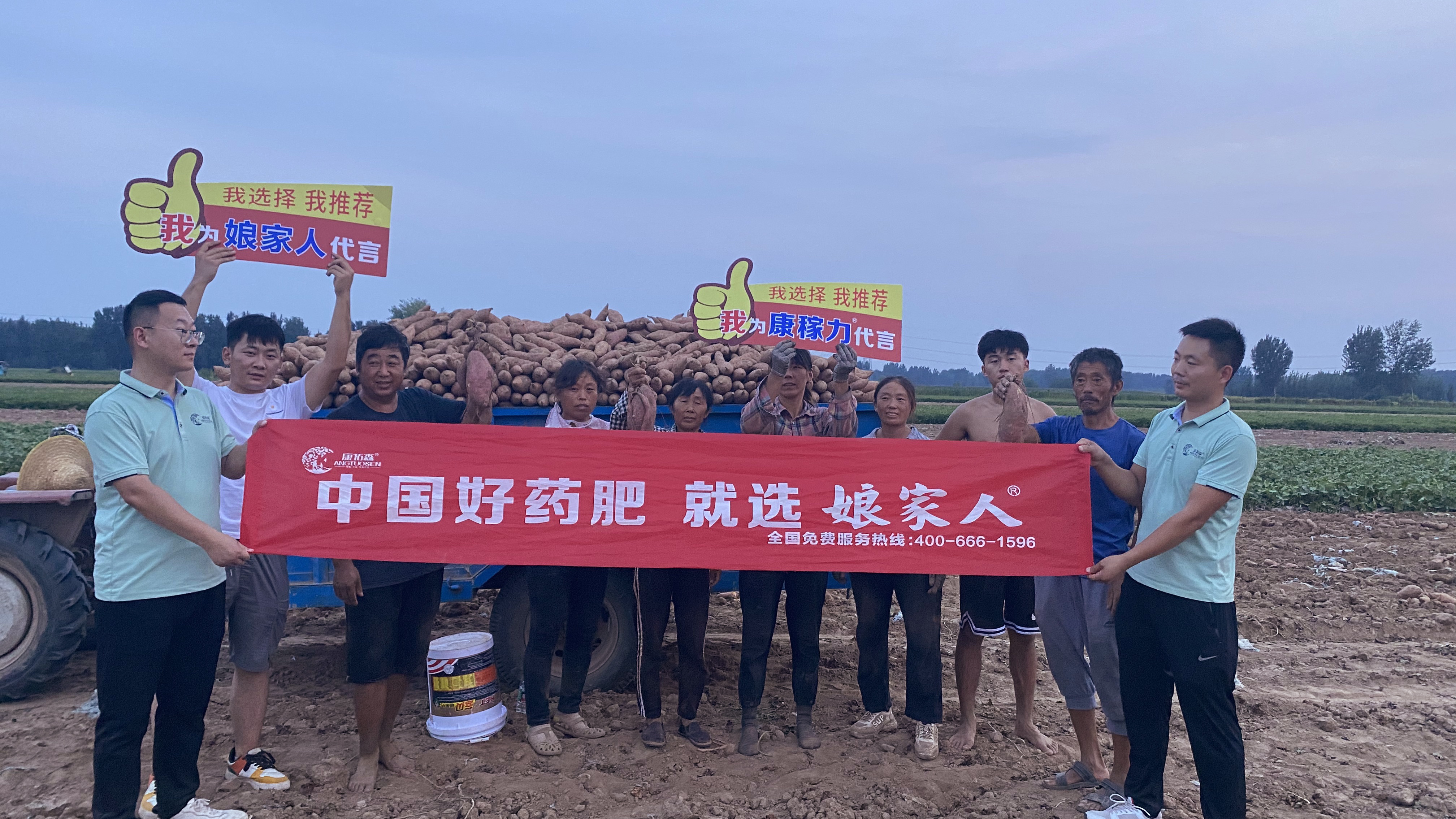 想要紅薯沒病害沒蟲咬？向他學習！
